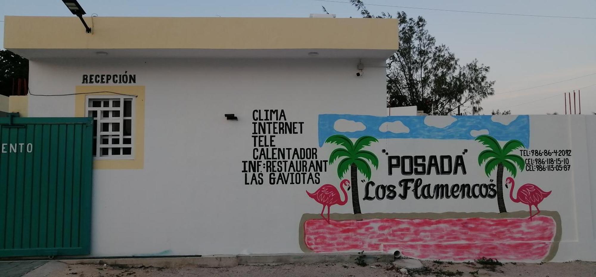 Posada Los Flamencos Las Coloradas Yucatan Yuluc Zewnętrze zdjęcie